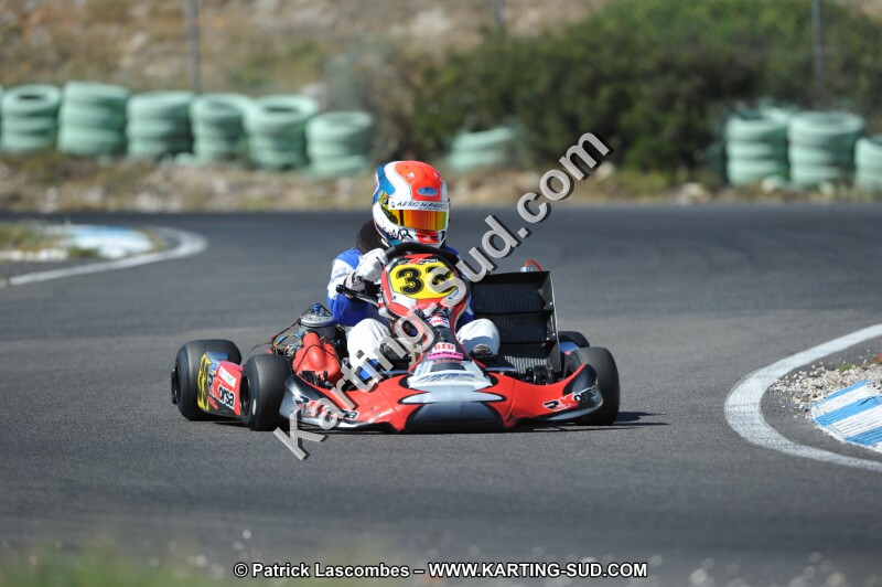 DSC (797).JPG